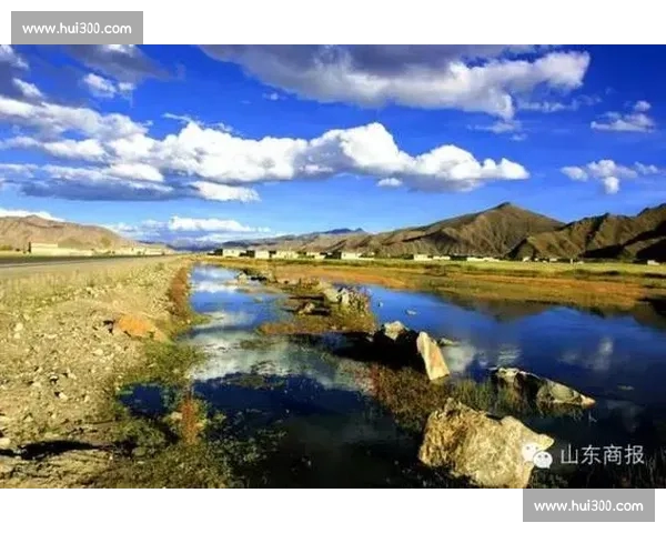 精彩瞬间尽收眼底，全球体育赛事精彩回放与分析一网打尽