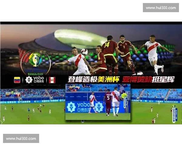 全面解析体育官网平台入口的安全性与便捷性提升方案